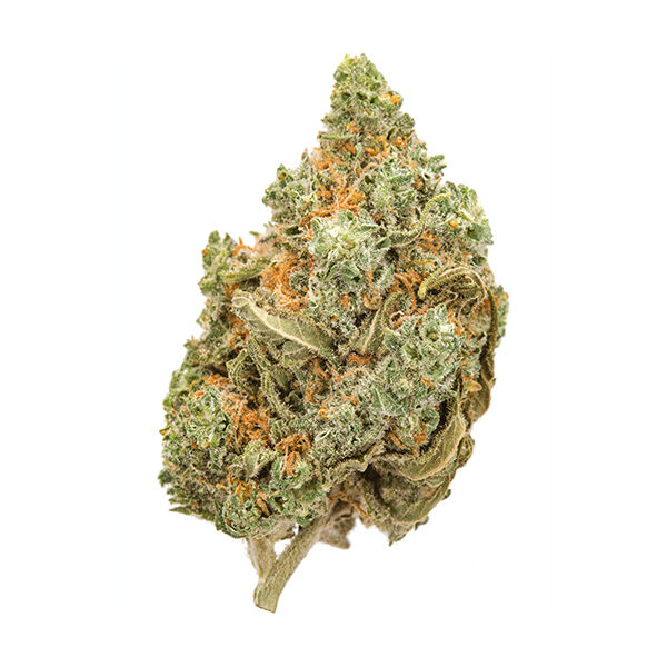 Amnesia Haze-Amnesia-haze.jpg