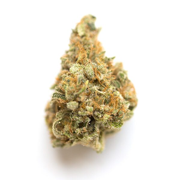 Gelato 45-Gelato-45.jpg